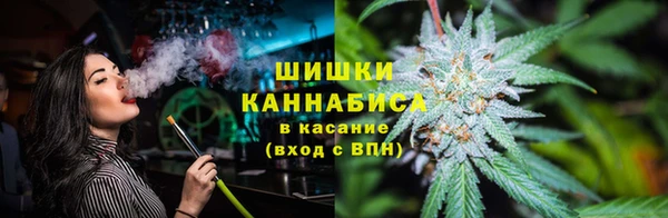 тгк Гусев