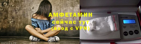 тгк Гусев