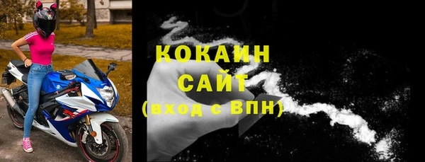 тгк Гусев