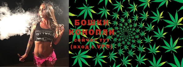 тгк Гусев