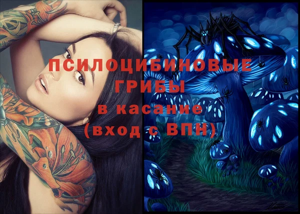 тгк Гусев