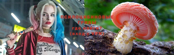 трава Гусь-Хрустальный