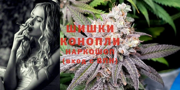 тгк Гусев