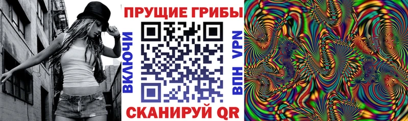 Галлюциногенные грибы Cubensis  Купить закладки  Канск 